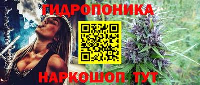 ECSTASY Ирбит